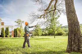  Pleasant Run Farm, OH Tree Removal and Landscaping Services Pros